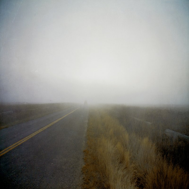 Zatista.ca A Blanket Of Fog Zatista.ca